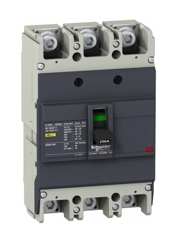 Силовой автомат Schneider Electric Easypact EZC 250, TM-D, 25кА, 3P, 125А